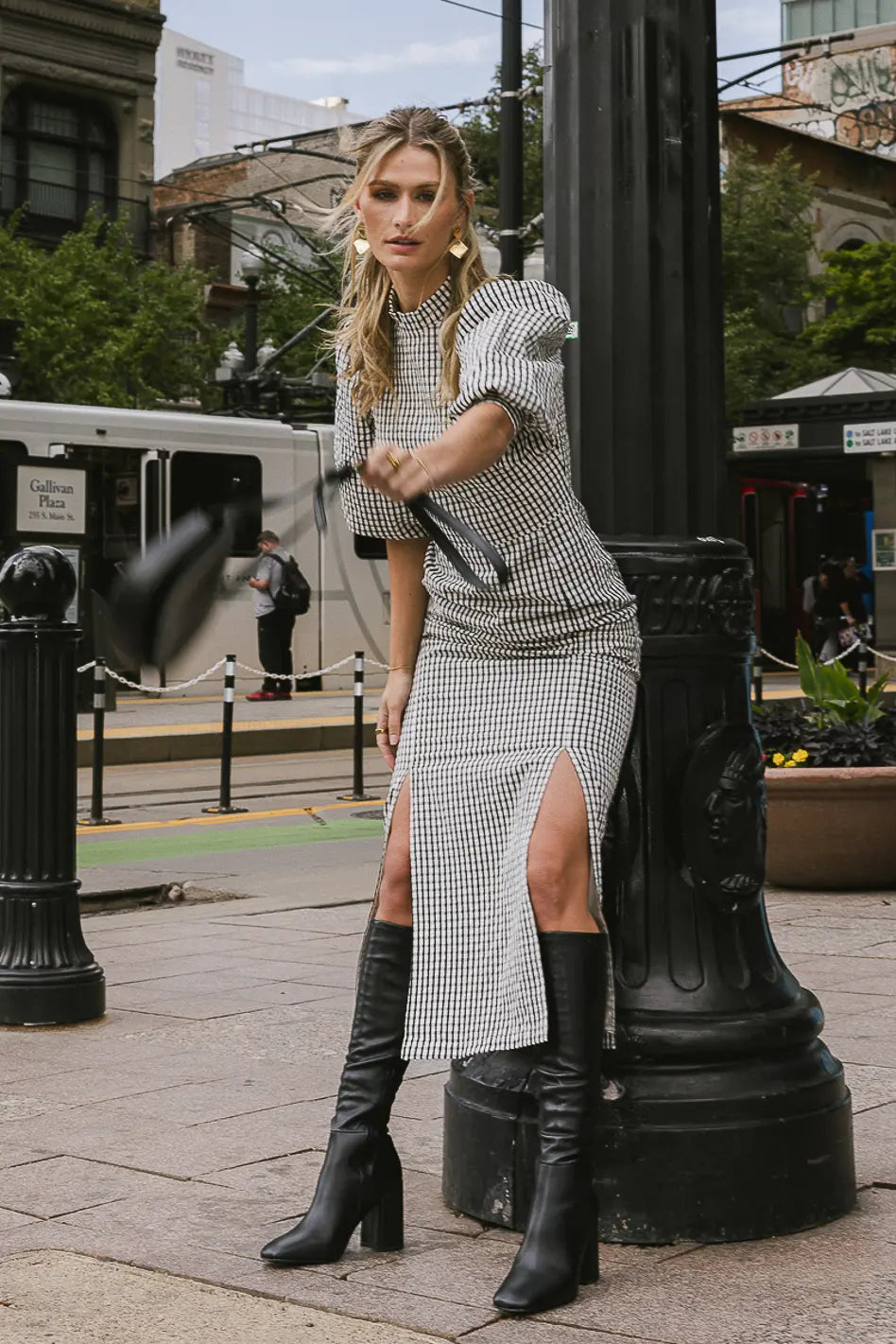 Alex Gingham Dress in Black - FINAL SALE