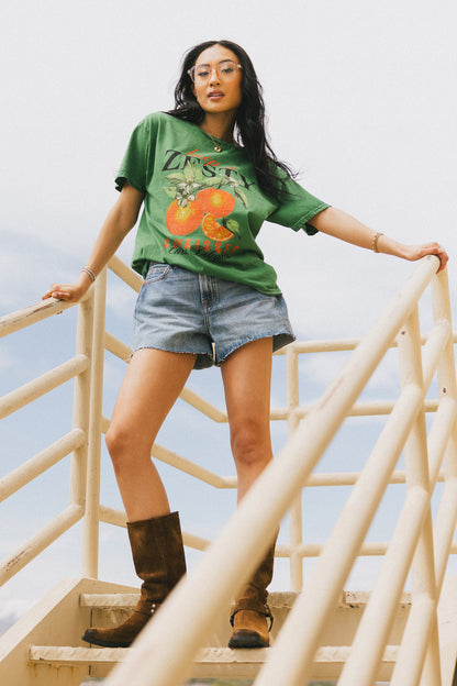 Ayra Denim Shorts