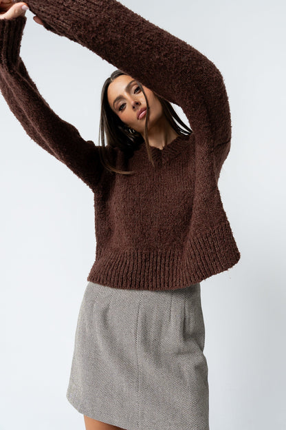 Junie Fuzzy Sweater in Brown