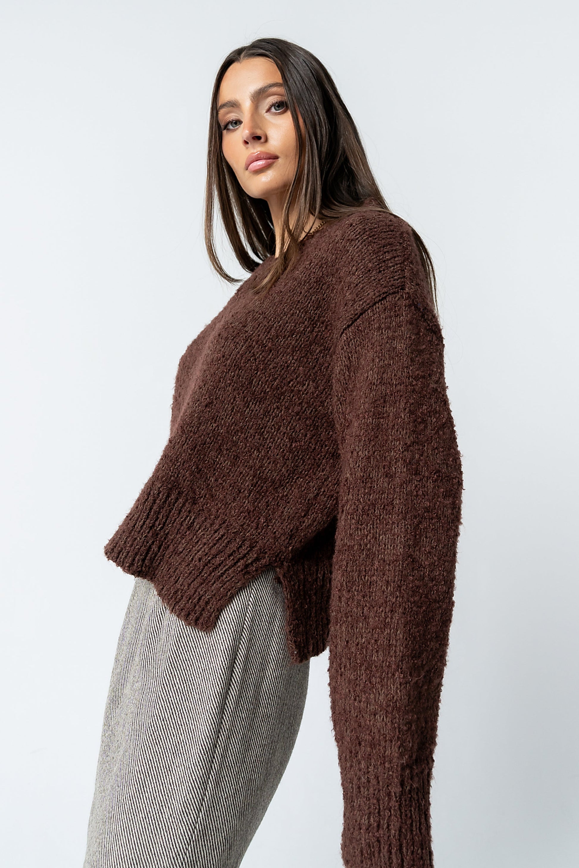 Junie Fuzzy Sweater in Brown