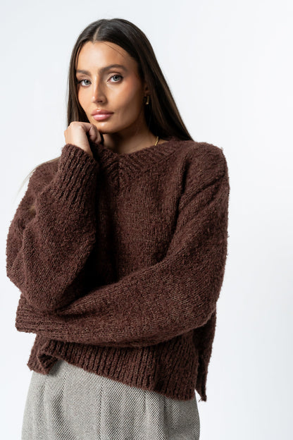 Junie Fuzzy Sweater in Brown